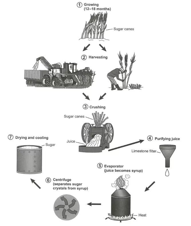 IELTS-Writing-Task-1-The-diagram-shows-the-manufacturing-process-for-making-sugar-from-sugar-cane