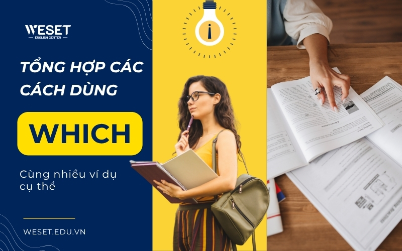 tong-hop-cac-cach-dung-which-cung-vi-du-cu-the