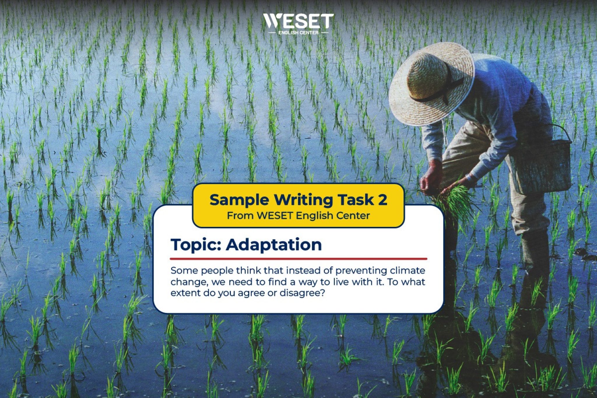 Giải đề mẫu Writing Task 2 | Chủ đề: Adaptation