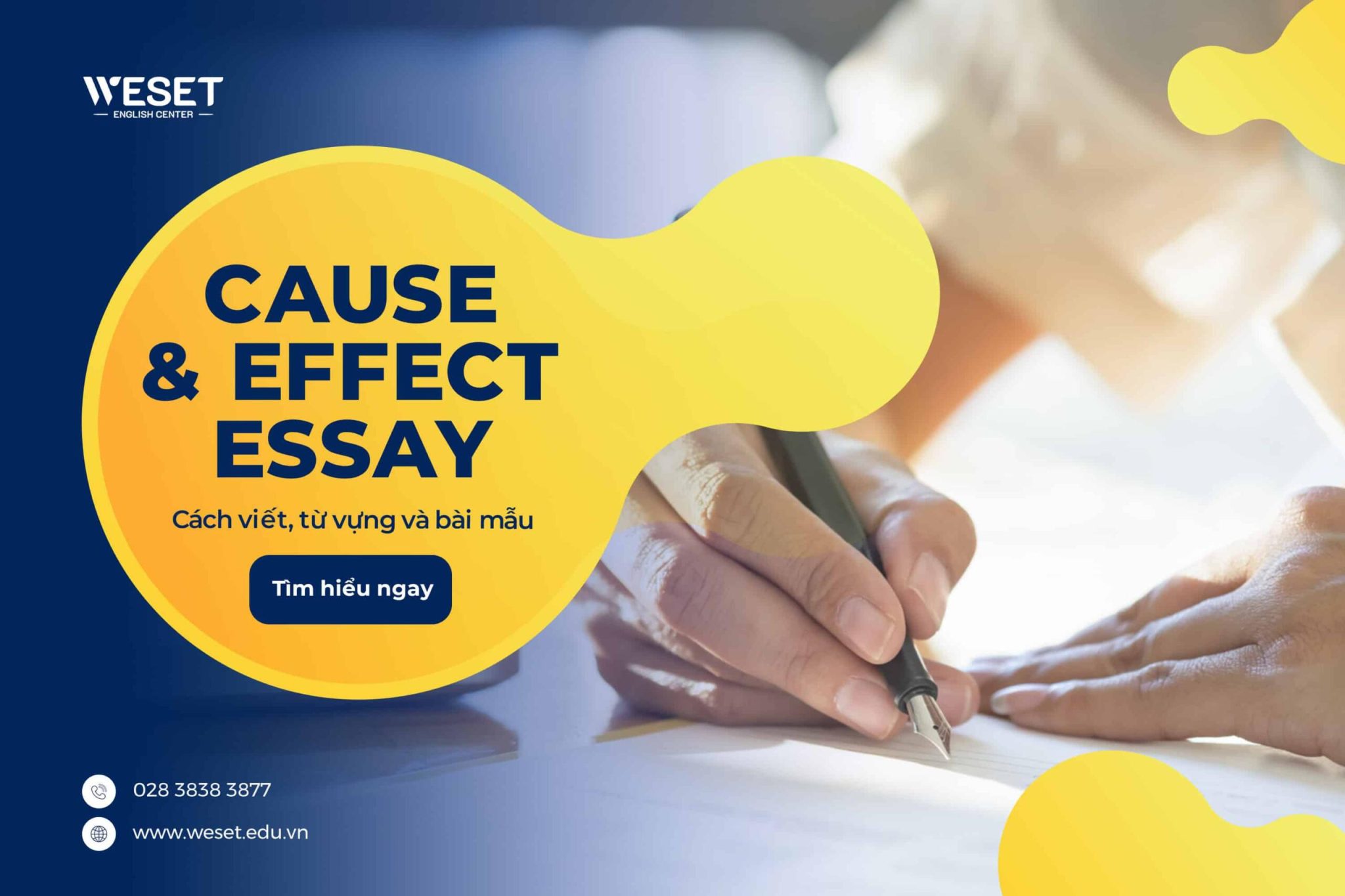 cause and effect essay