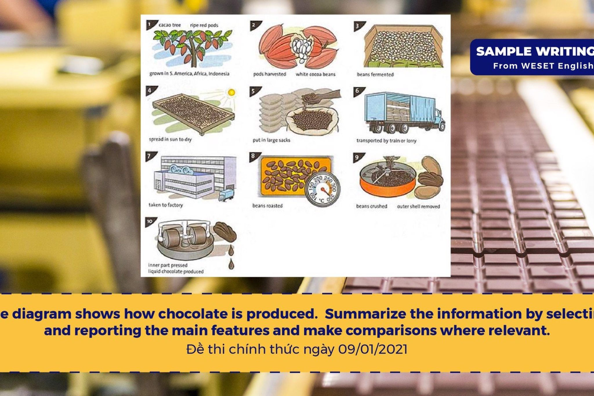 choco_865ec7162e074c88a6244b52568f897a_8657ffbef7a54a2a9517a6b6a6b7da10.jpg