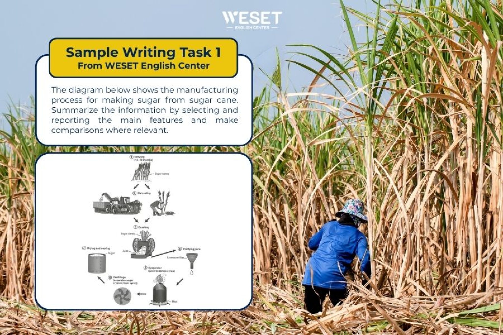 IELTS-writing-task-1-topic-production